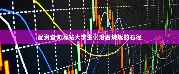 配资查询网站大学生们沿着蜿蜒的石径