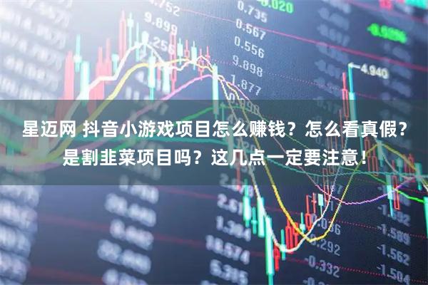 星迈网 抖音小游戏项目怎么赚钱？怎么看真假？是割韭菜项目吗？这几点一定要注意！